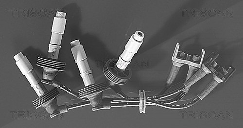 Triscan Zündleitungssatz [Hersteller-Nr. 88606462] für Renault, Volvo