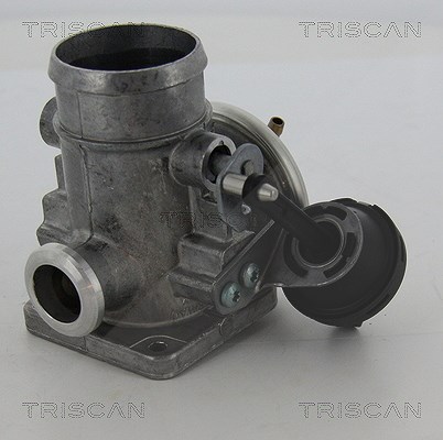 Triscan AGR-Ventil [Hersteller-Nr. 881329300] für VW