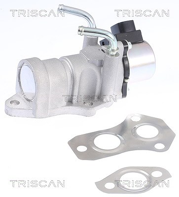Triscan AGR-Ventil [Hersteller-Nr. 881313201] für Toyota