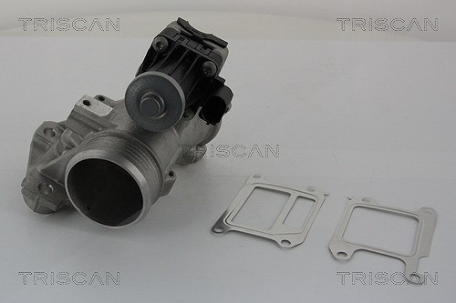 Triscan AGR-Ventil [Hersteller-Nr. 881327102] für Volvo