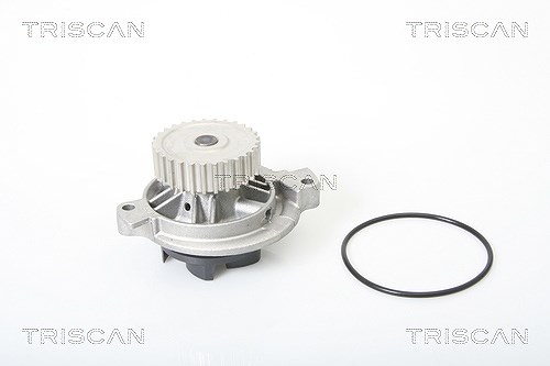 Triscan Wasserpumpe [Hersteller-Nr. 860029962] für Audi