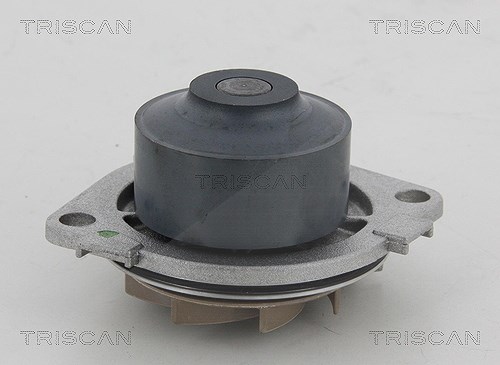 Triscan Wasserpumpe [Hersteller-Nr. 860015013] für Fiat, Lancia