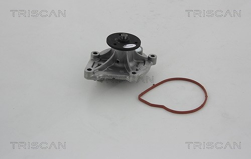 Triscan Wasserpumpe [Hersteller-Nr. 860010032] für Peugeot, Mini, Opel, Ds, Citroën, Vauxhall, BMW