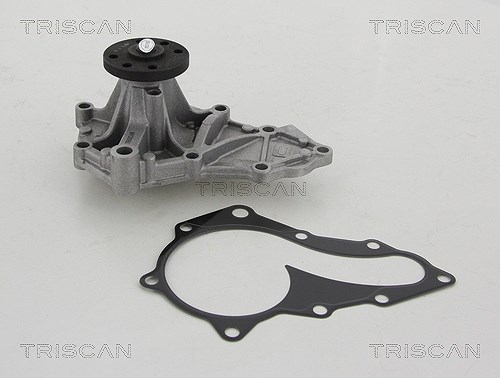 Triscan Wasserpumpe [Hersteller-Nr. 860050010] für Mazda