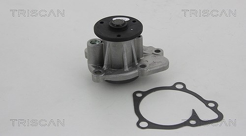 Triscan Wasserpumpe [Hersteller-Nr. 860010036] für Mitsubishi, Chrysler, Jeep, Fiat, Peugeot, Dodge, Citroën, Kia, Hyundai, Lancia