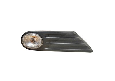 Van Wezel Blinkleuchte [Hersteller-Nr. 0506916] für Mini
