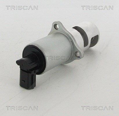 Triscan AGR-Ventil [Hersteller-Nr. 881310100] für Renault, Nissan