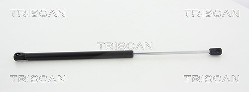 Triscan Gasfeder, Heckscheibe [Hersteller-Nr. 871018231] für Kia
