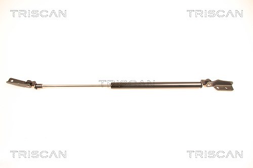 Triscan Gasfeder, Koffer-/Laderaum [Hersteller-Nr. 871014233] für Nissan