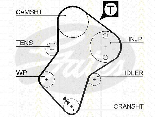 Triscan Zahnriemen [Hersteller-Nr. 86455049xs] für Ldv, Suzuki, Lada, Fiat, Geo, Fso, Citroën, Hyundai, Tata, Peugeot, Rover, Talbot