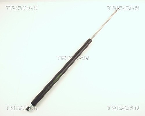 Triscan Gasfeder, Koffer-/Laderaum [Hersteller-Nr. 871038211] für Citroën