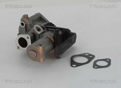 Triscan AGR-Ventil [Hersteller-Nr. 881329312] für Audi, VW, Porsche