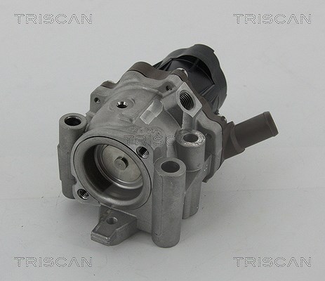 Triscan AGR-Ventil [Hersteller-Nr. 881315208] für Fiat