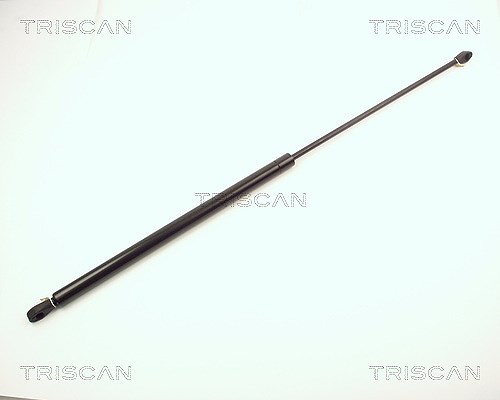 Triscan Gasfeder, Koffer-/Laderaum [Hersteller-Nr. 87102004] für Porsche