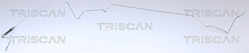 Triscan Bremsschlauch [Hersteller-Nr. 815025231] für Renault