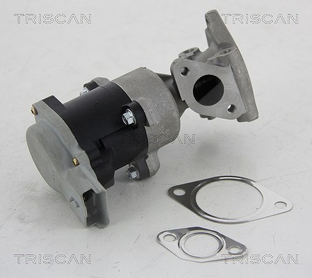 Triscan AGR-Ventil [Hersteller-Nr. 881310008] für Jaguar, Citroën, Land Rover, Peugeot