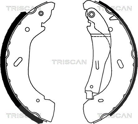 Triscan Bremsbackensatz Trommelbremse [Hersteller-Nr. 810016005] für Ford