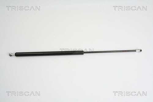 Triscan Gasfeder, Koffer-/Laderaum [Hersteller-Nr. 871016246] für Ford