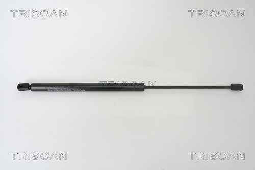 Triscan Gasfeder, Koffer-/Laderaum [Hersteller-Nr. 871025232] für Renault