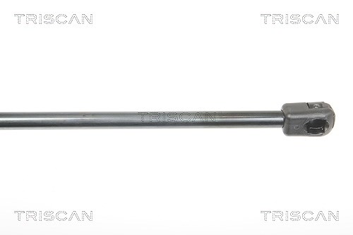 Triscan Gasfeder, Koffer-/Laderaum [Hersteller-Nr. 871025244] für Renault