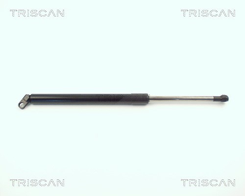 Triscan Gasfeder, Koffer-/Laderaum [Hersteller-Nr. 871011209] für BMW