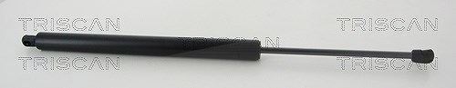 Triscan Gasfeder, Koffer-/Laderaum [Hersteller-Nr. 871016274] für Ford