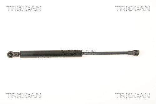 Triscan Gasfeder, Koffer-/Laderaum [Hersteller-Nr. 871025249] für Renault