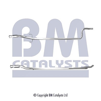 Bm Catalysts Abgasrohr [Hersteller-Nr. BM50119] für Citroën