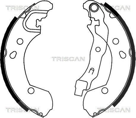Triscan Bremsbackensatz Trommelbremse Hinterachse [Hersteller-Nr. 810014002] für Nissan, Renault