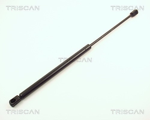 Triscan Gasfeder, Koffer-/Laderaum [Hersteller-Nr. 87101607] für Ford
