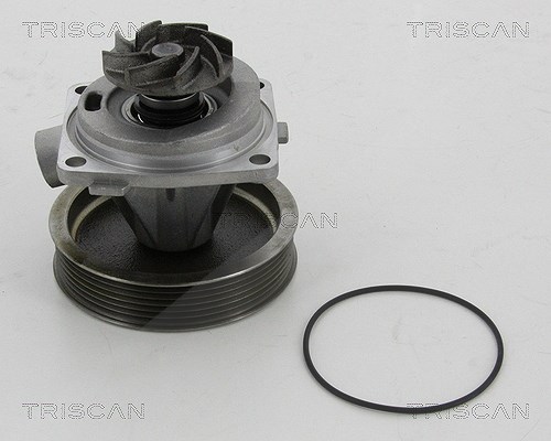 Triscan Wasserpumpe [Hersteller-Nr. 860010080] für Citroën, Peugeot, Fiat