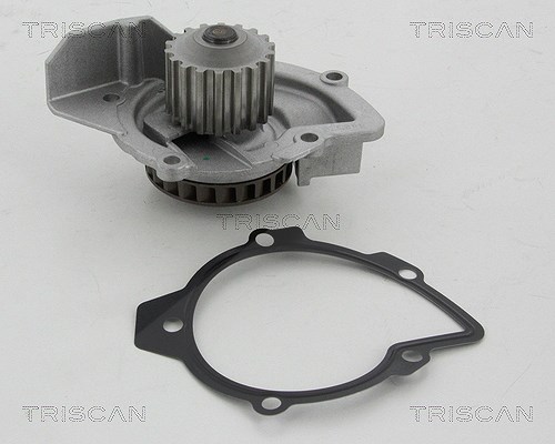 Triscan Wasserpumpe [Hersteller-Nr. 860010079] für Fiat, Ford, Ds, Citroën, Peugeot, Toyota