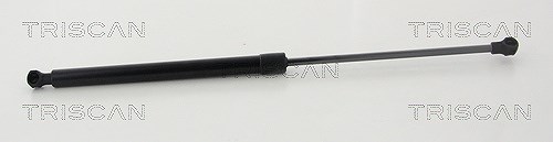 Triscan Gasfeder, Koffer-/Laderaum [Hersteller-Nr. 871025276] für Renault