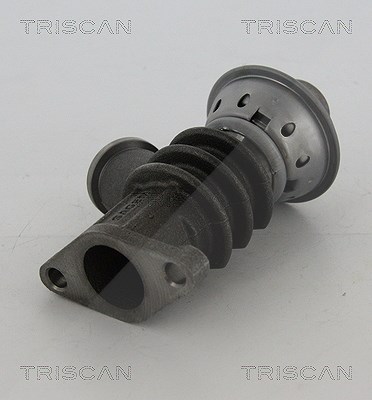 Triscan AGR-Ventil [Hersteller-Nr. 881328100] für Citroën, Peugeot