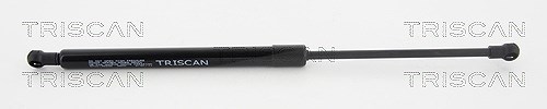 Triscan Gasfeder, Koffer-/Laderaum [Hersteller-Nr. 871038232] für Citroën