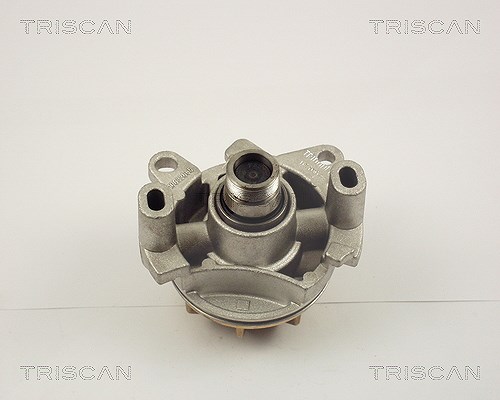 Triscan Wasserpumpe [Hersteller-Nr. 860010017] für Vauxhall, Renault, Opel, Nissan