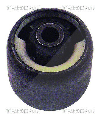 Triscan Lagerung, Achskörper [Hersteller-Nr. 850016822] für Ford, Mazda