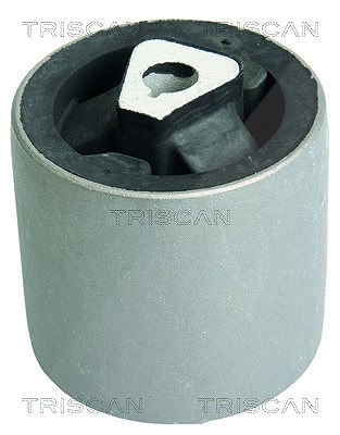 Triscan Lagerung, Lenker [Hersteller-Nr. 850011845] für BMW