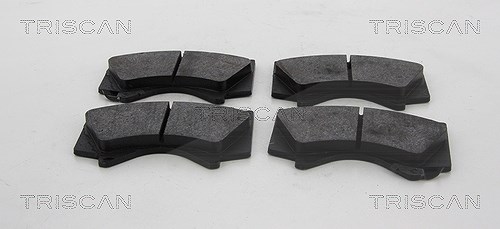 Triscan Bremsbelagsatz, Scheibenbremse [Hersteller-Nr. 811013098] für Lexus, Toyota