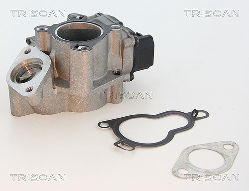 Triscan AGR-Ventil [Hersteller-Nr. 881325203] für Renault