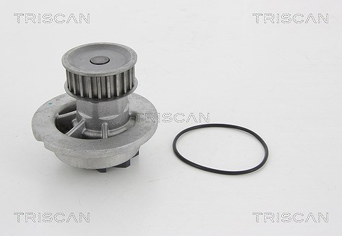 Triscan Wasserpumpe [Hersteller-Nr. 860021006] für Chevrolet