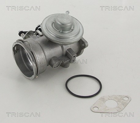 Triscan AGR-Ventil [Hersteller-Nr. 881329302] für Seat, VW, Skoda