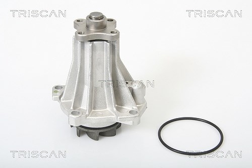 Triscan Wasserpumpe [Hersteller-Nr. 860016919] für Ford