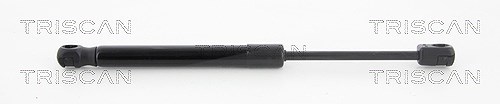 Triscan Gasfeder, Koffer-/Laderaum [Hersteller-Nr. 871042241] für Mitsubishi