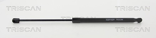 Triscan Gasfeder, Koffer-/Laderaum [Hersteller-Nr. 8710292012] für Audi