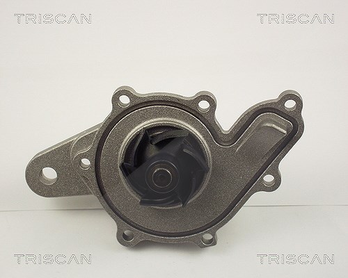 Triscan Wasserpumpe [Hersteller-Nr. 860010014] für Smart