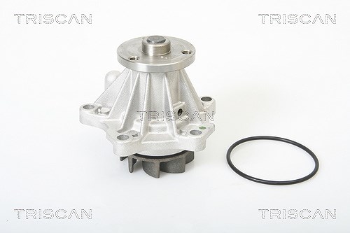 Triscan Wasserpumpe [Hersteller-Nr. 860016002] für Ford