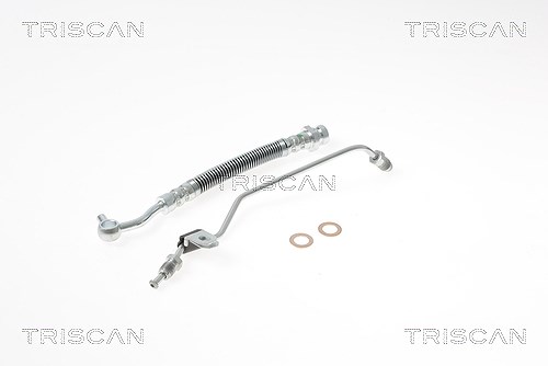 Triscan Bremsschlauch [Hersteller-Nr. 815018229] für Kia