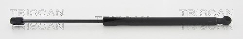Triscan Gasfeder, Koffer-/Laderaum [Hersteller-Nr. 8710292010] für Audi