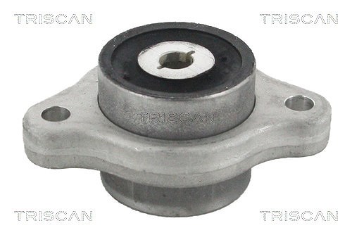Triscan Lagerung, Lenker [Hersteller-Nr. 850023887] für Mercedes-Benz